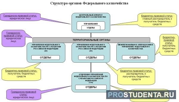 Обязанности руководителя