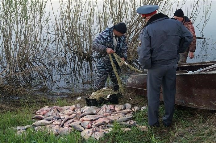 Рыбоохрана в Рыбоохраной Нацгвардии