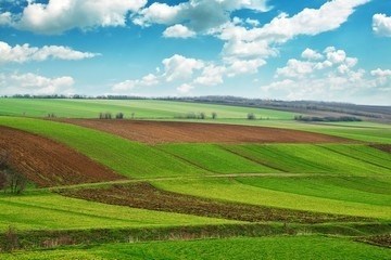 Особенности и порядок проведения процедуры