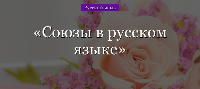 Синтаксическая роль союзов в предложении