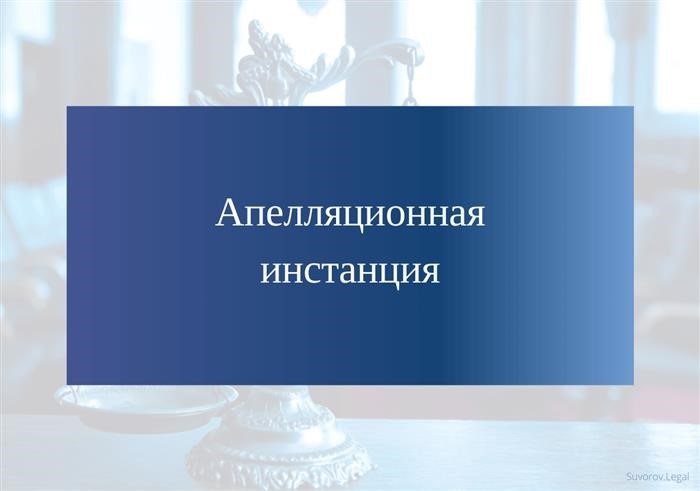 Полномочия апелляционной инстанции